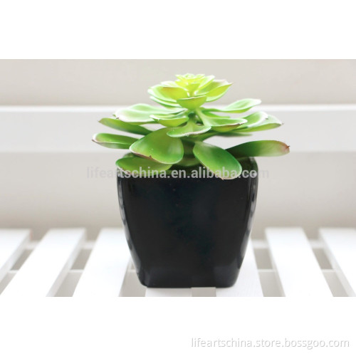 wholesale succulent plants, mini plant, with ceramic pot #6, artificial plant